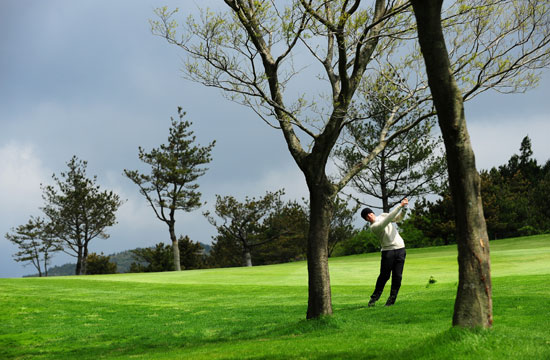 吸血少女大战再生萝莉 视频主图